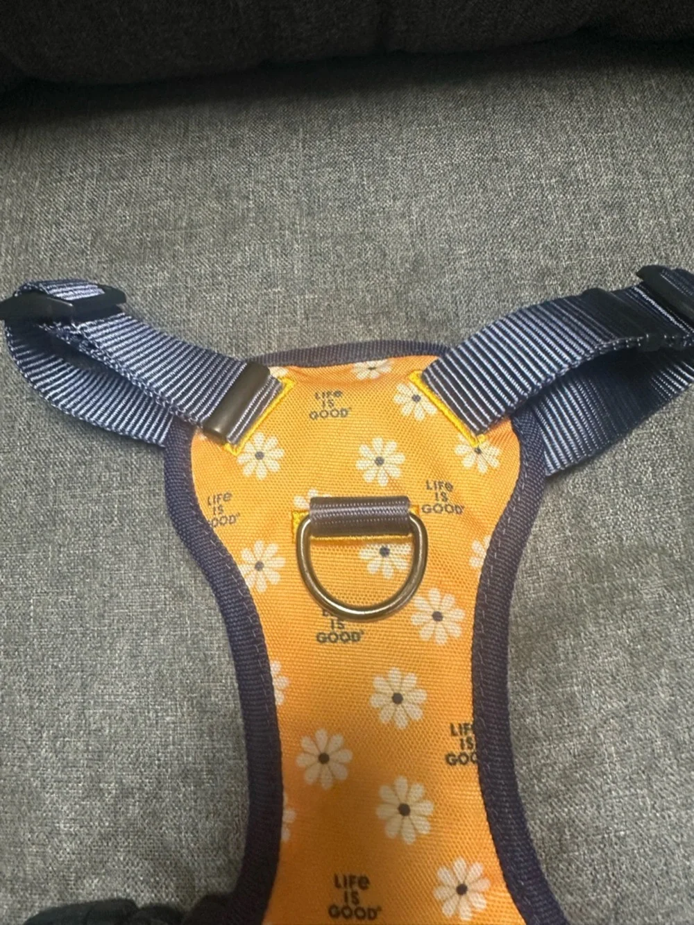 Life is Good Daisy Dog Harness- Baja Yellow